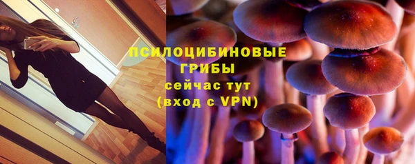 спайс Баксан
