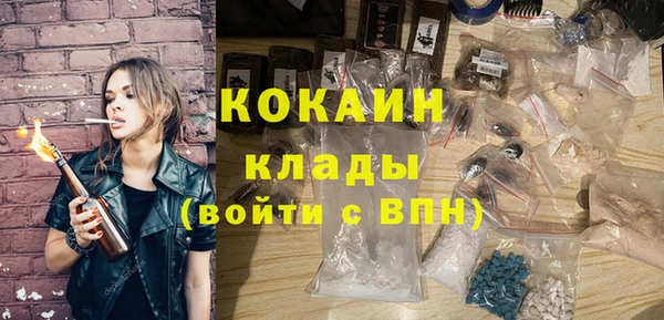 шишки Балахна