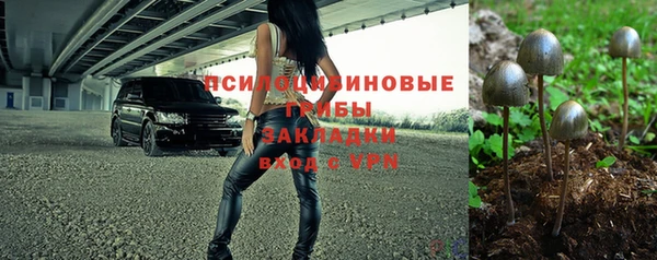 шишки Балахна