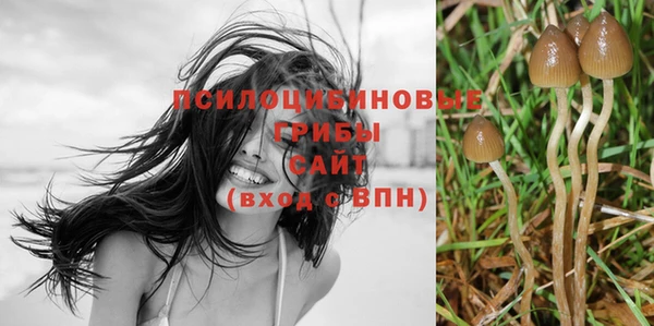 шишки Балахна