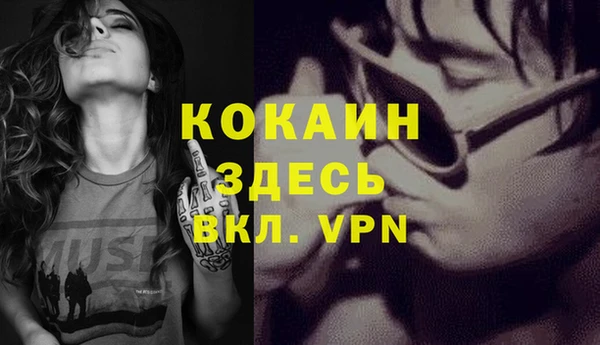спайс Баксан