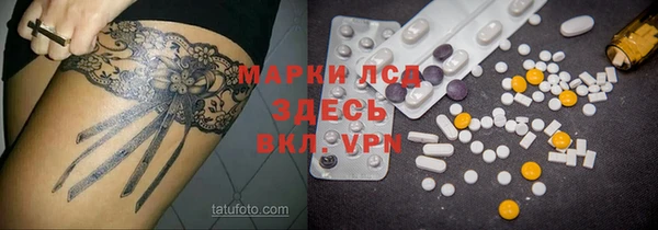 спайс Баксан