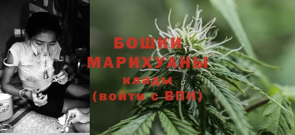 шишки Балахна