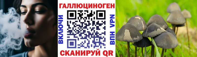 Галлюциногенные грибы Psilocybine cubensis наркошоп Тутаев